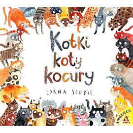 Kotki koty kocury