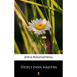 Dzieci pana majstra (e-book)