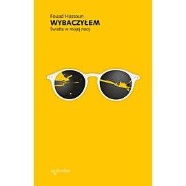 Wybaczyłem. Światła w mojej nocy (e-book)