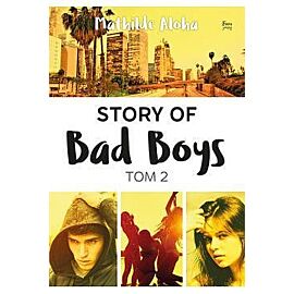 Story of Bad Boys 2