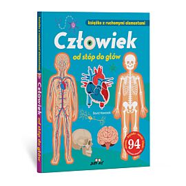Człowiek od stóp do głów