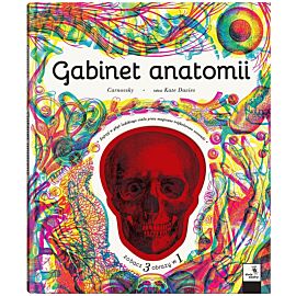 Gabinet owadów (i innych małych stworzeń)