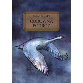 Cudowna podróż lektura z opracowaniem