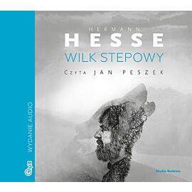 Wilk stepowy (audiobook CD)