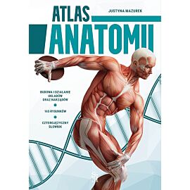 Atlas anatomii