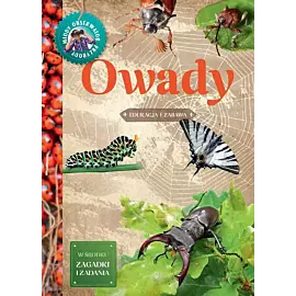 Owady. Młody obserwator przyrody