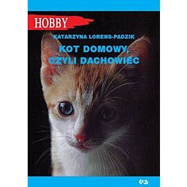 Kot domowy, czyli dachowiec/Egros