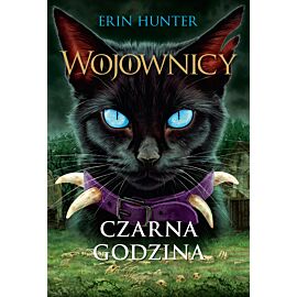 Czarna godzina, Wojownicy, Tom VI (audiobook MP3)