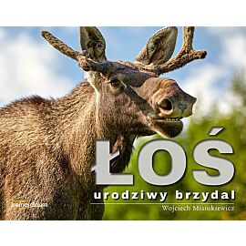 Łoś - urodziwy brzydal