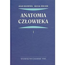 Anatomia człowieka. Tom 1