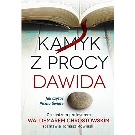 Kamyk z procy Dawida