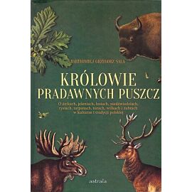 Królowie pradawnych puszcz