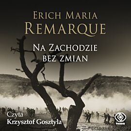 Na Zachodzie bez zmian (audiobook MP3)