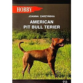American pit bull terier