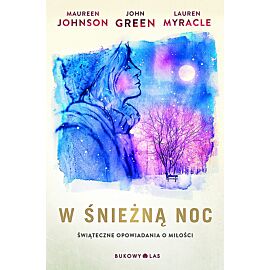 W śnieżną noc