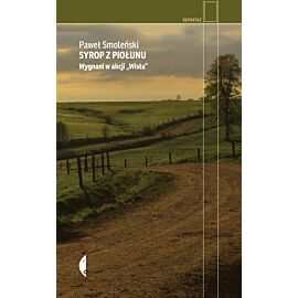 Syrop z piołunu (e-book)