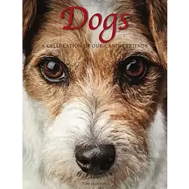 Dogs