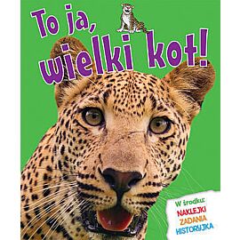 To ja, wielki kot!