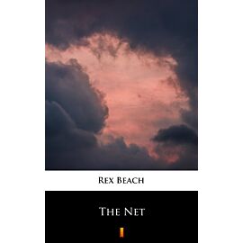 The Net (e-book)