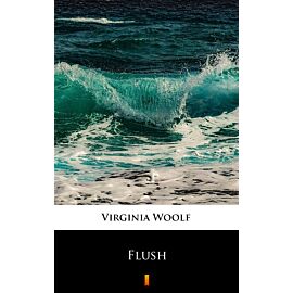 Flush (e-book)