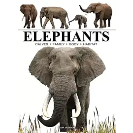 Elephants