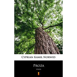 Proza (e-book)