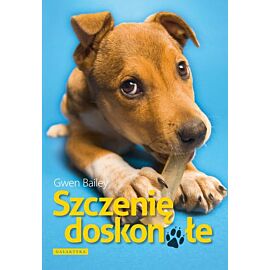 Szczenię doskonałe