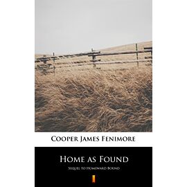 Home as Found (e-book)