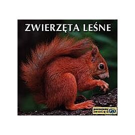 Zwierzęta leśne