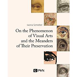 On the Phenomenon of Visual Arts and the Meanders of Their Preservation