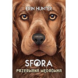 Przerwana wędrówka (SFORA IV)/Nowa Baśń/