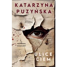 Ulice ciem (e-book)