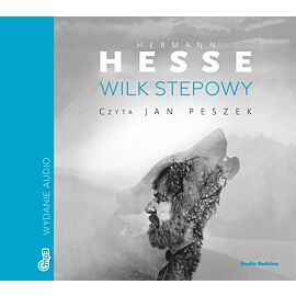 Wilk stepowy (audiobook MP3)