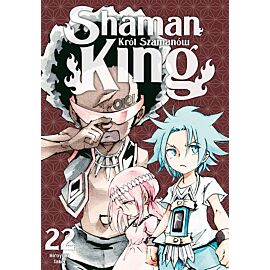 Shaman King - 22