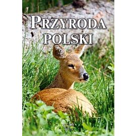 Przyroda polski
