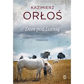 Dom pod Lutnią (e-book)