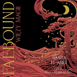 Faebound. Więzy magii (audiobook MP3)
