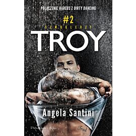 Troy (e-book)