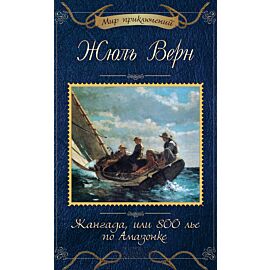 Жангада, или 800 лье по Амазонке (e-book)