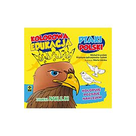 Kolorowa edukacja ptaki polski