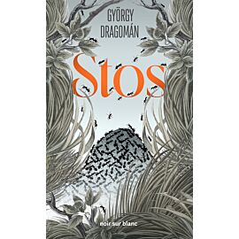 Stos