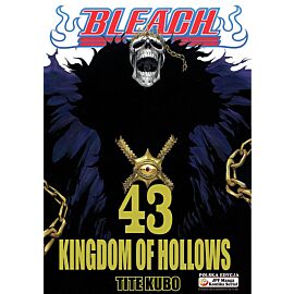 Bleach - 43