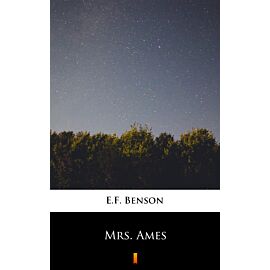 Mrs. Ames (e-book)