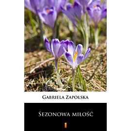 Sezonowa miłość (e-book)