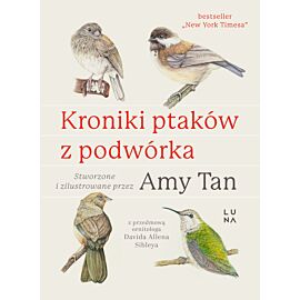 Kroniki ptaków z podwórka