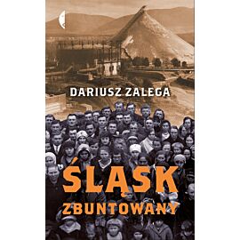 Śląsk zbuntowany (e-book)