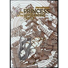 The Princess of the Never-ending Castle