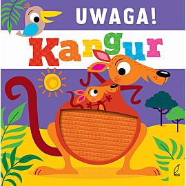 Uwaga, kangur!