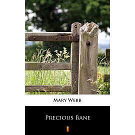 Precious Bane (e-book)