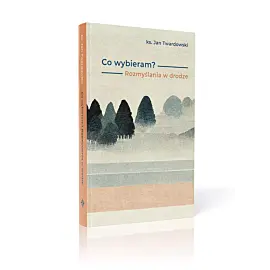 Co wybieram? Rozmyślania w drodze